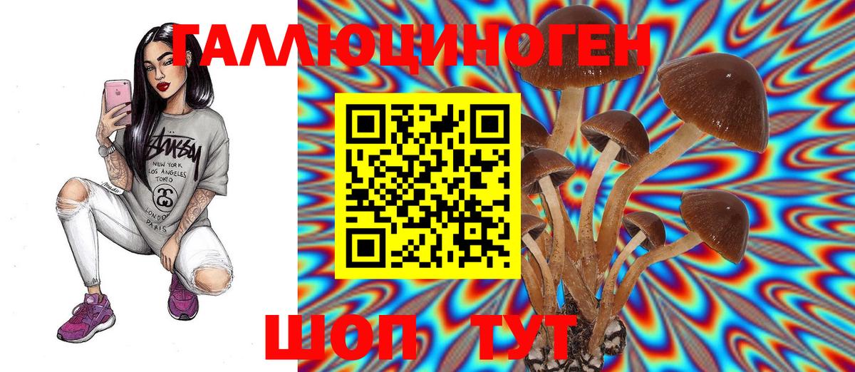 Галлюциногенные грибы GOLDEN TEACHER Зерноград