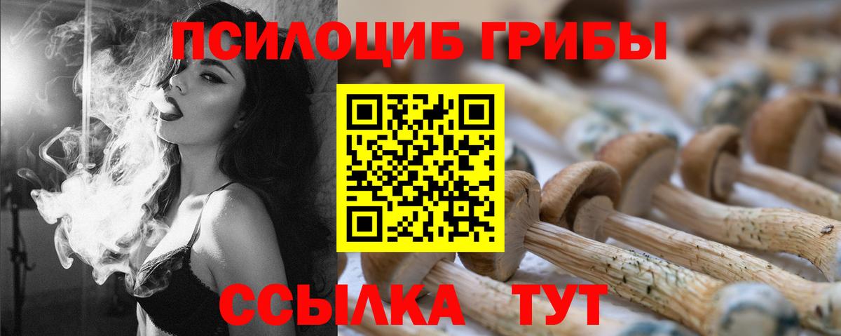 Псилоцибиновые грибы мицелий  Вход с VPN  Зерноград  Псилоцибиновые грибы Magic Shrooms 