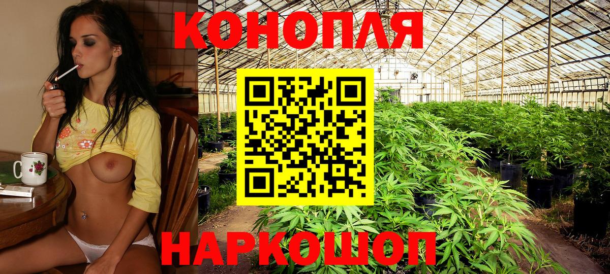 Марихуана гибрид  Вход с VPN  Зерноград  Марихуана SATIVA & INDICA 